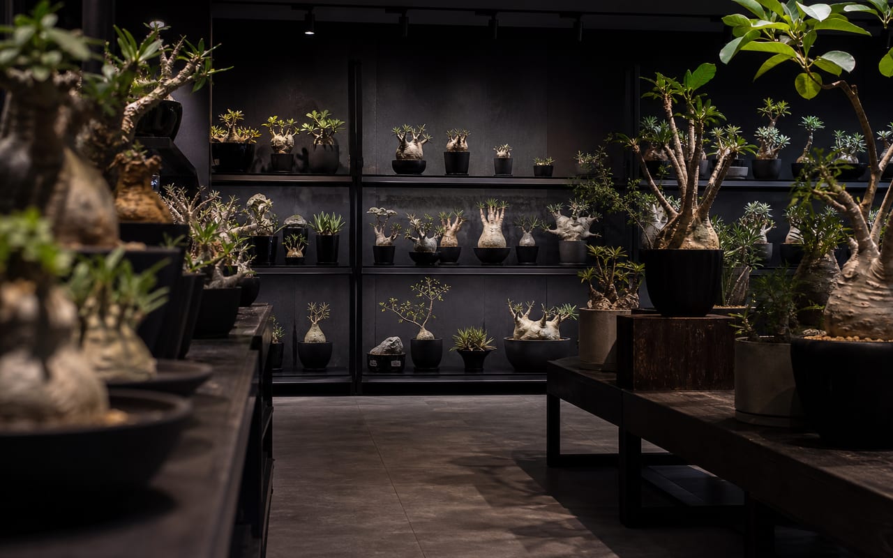 北本植物の店内